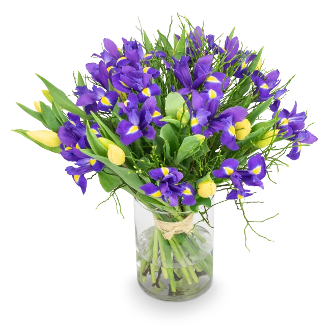 Bouquet of spring flowers
